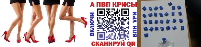 Альфа ПВП СК  Кинешма 