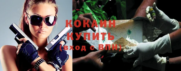 молекула духа Горняк