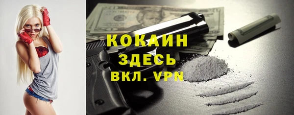 молекула духа Горняк