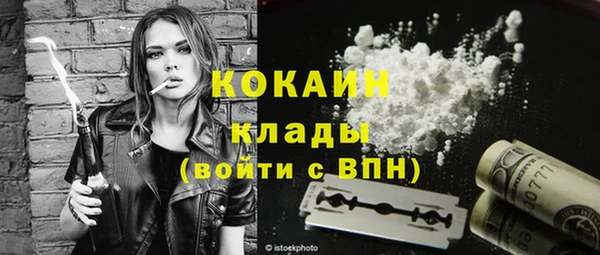 МДПВ Каменногорск