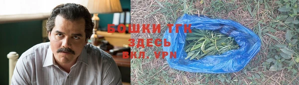 твердый Горнозаводск