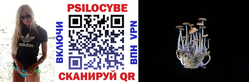 Галлюциногенные грибы Psilocybe  Кинешма 