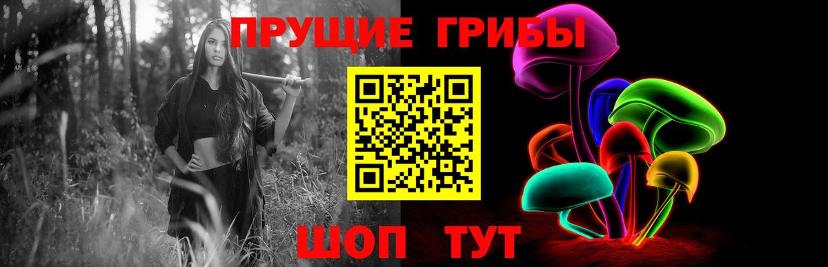Псилоцибиновые грибы Psilocybine cubensis  Вход с VPN  Кинешма 